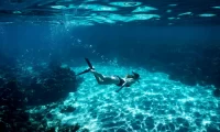 snorkeling_australia
