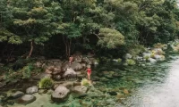 Silky_Oaks_Lodge