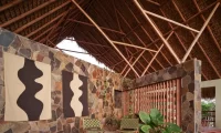 Cocolia_mazunte
