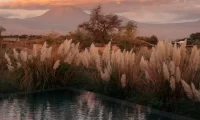Tierra_Atacama