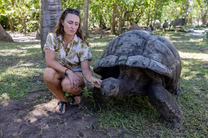 cousine_island_giant_turtle