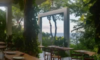 Cocolia_mazunte