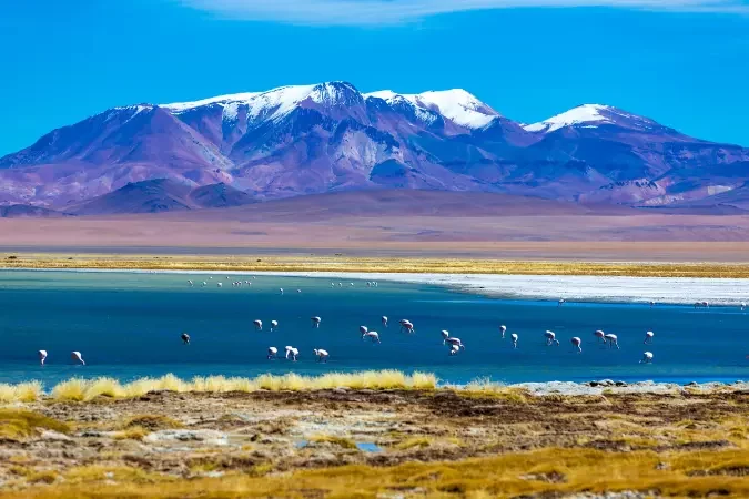 explore_atacama