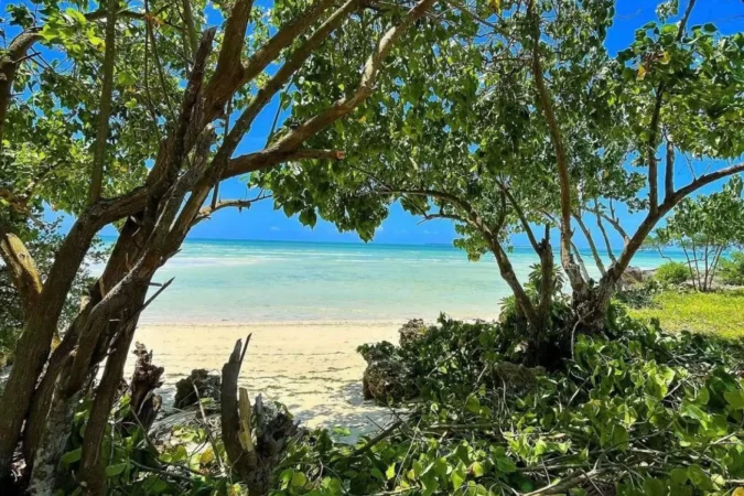 zanzibar_beach