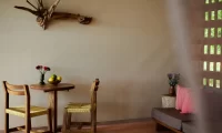 Cocolia_mazunte