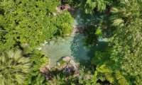Silky_Oaks_Lodge