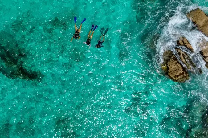 cousine_island_snorkeling