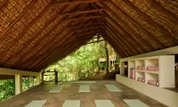 Cocolia_mazunte