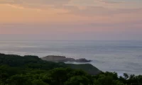 Cocolia_mazunte