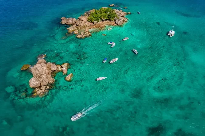 cousine_island