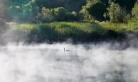 Huka_lodge
