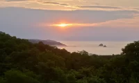 Cocolia_mazunte