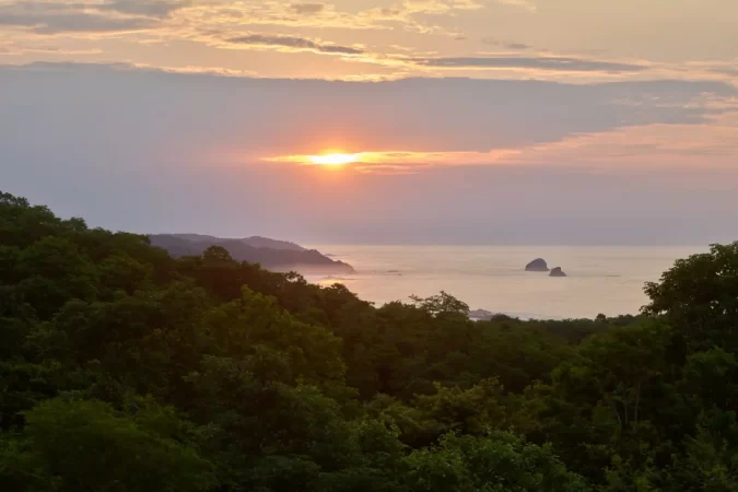 Cocolia_mazunte