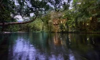 Silky_Oaks_Lodge
