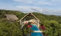 Cocolia_mazunte