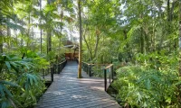Silky_Oaks_Lodge