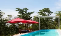 Cocolia_mazunte