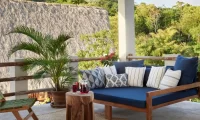 Cocolia_mazunte
