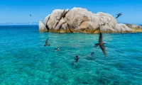Cousine_Island