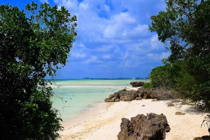 beach_hotel_zanzibar