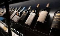 wines_tierra_atacama
