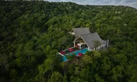Cocolia_mazunte