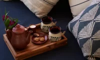 Cocolia_mazunte