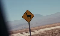 roadtrip_atacama