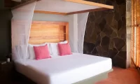 Cocolia_mazunte