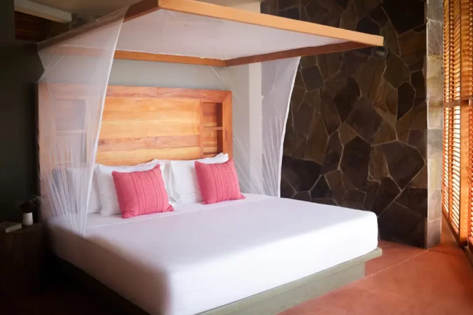Cocolia_mazunte