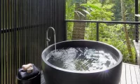Silky_Oaks_Lodge