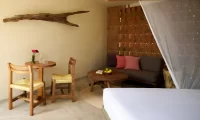 Cocolia_mazunte