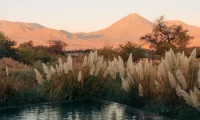 pool_Tierra_Atacama
