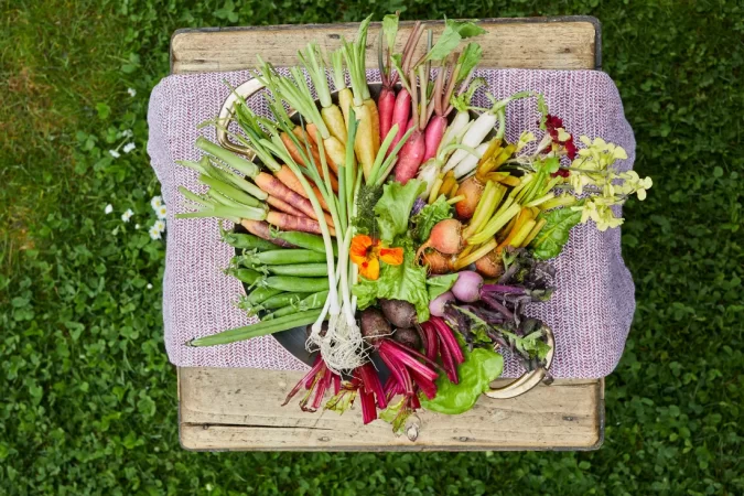 farm_to_table_dining