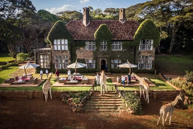 giraffe_manor
