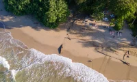 Aguas_Claras_Costa_Rica