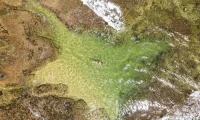 Aguas_Claras_Costa_Rica
