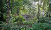 Aguas_claras_hotel