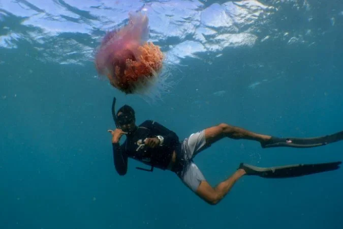 snokerling_maldives