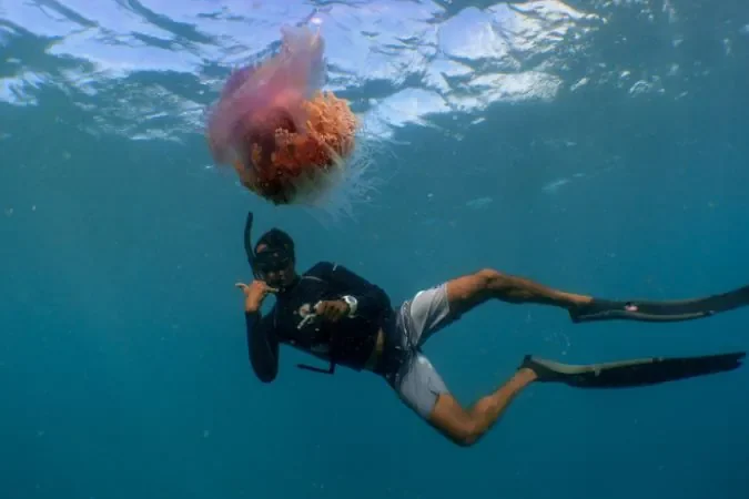 amilla_maldives_snorkeling