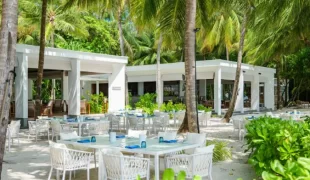 amilla_maldives_dining_barolo