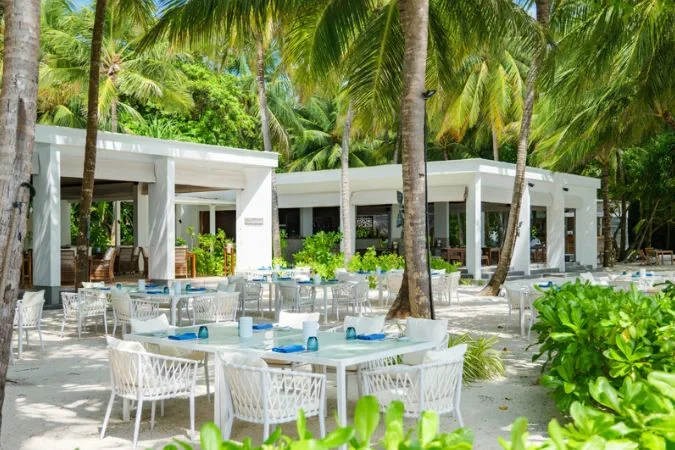 amilla_maldives_dining_barolo