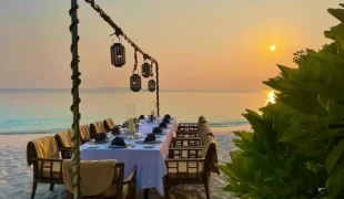 amilla_dining