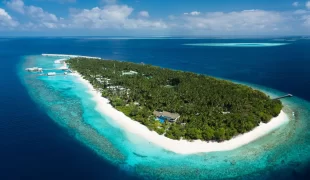 Amilla_maldives