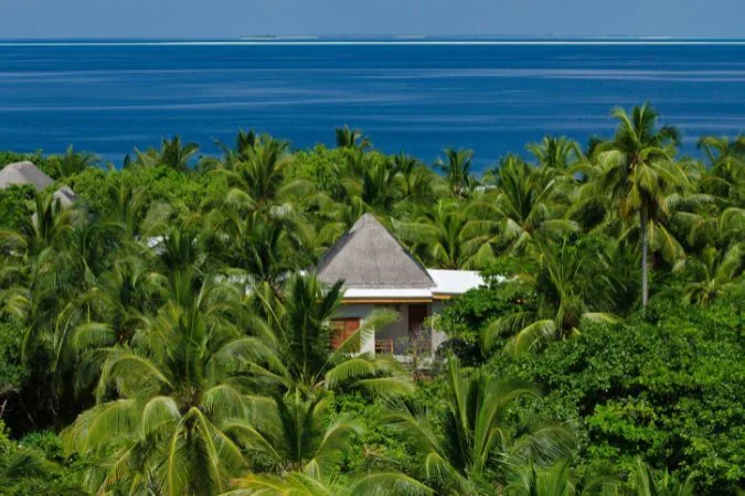 Amilla_maldives_tree_top_villa