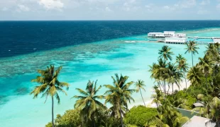 Amilla_maldives