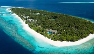 Amilla_maldives