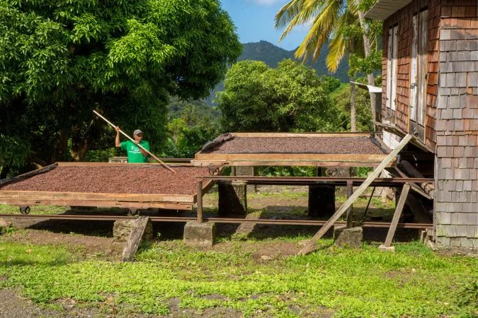 Anse_Chastanet_St_Lucia_Chocolate_Bar