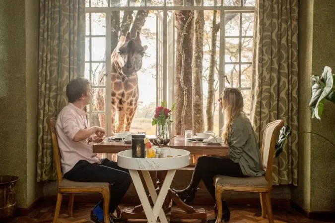 breakfast_with_giraffes