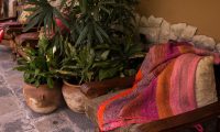 Inkaterra_hacienda_urubamba